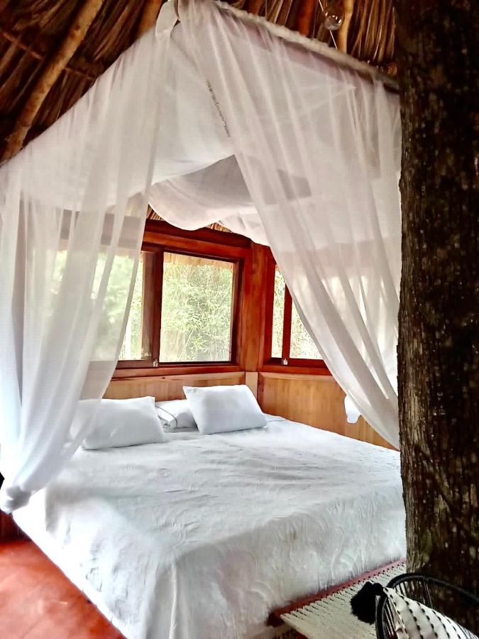 Nuscaa Boutique Tree House & Spa 호텔 푸에르토 모렐로스 외부 사진