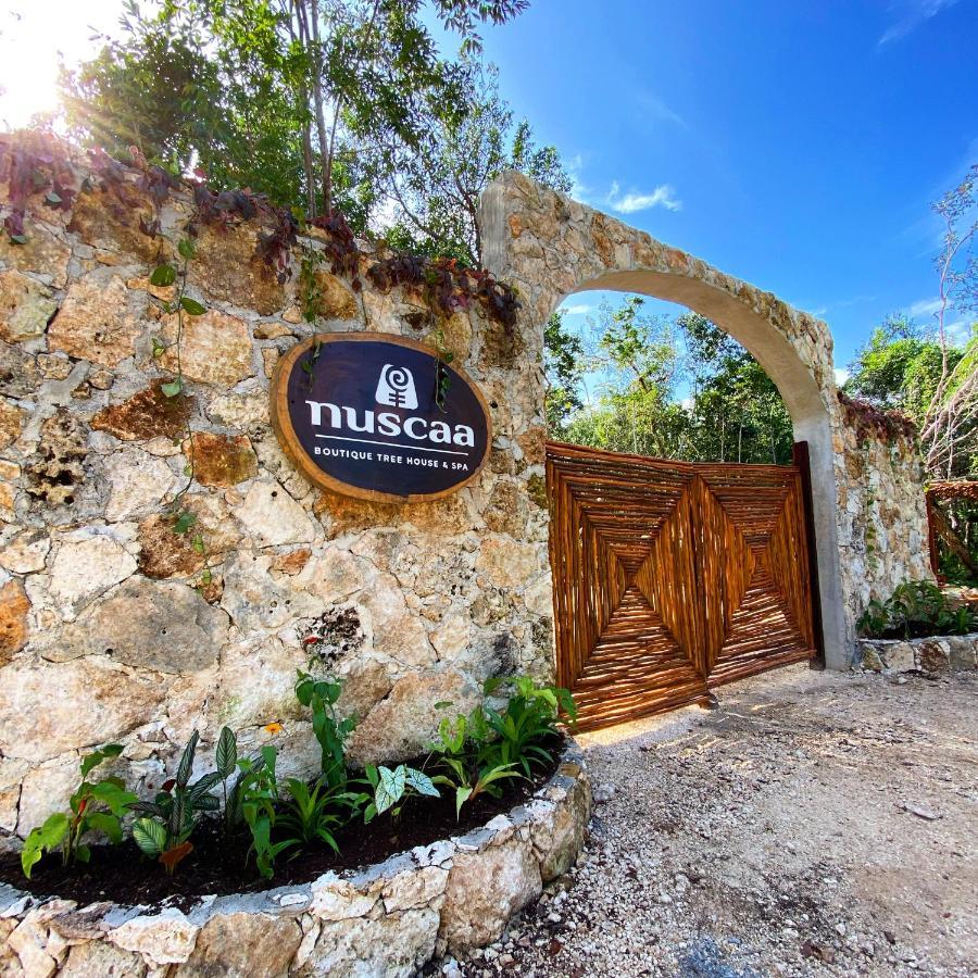 Nuscaa Boutique Tree House & Spa 호텔 푸에르토 모렐로스 외부 사진