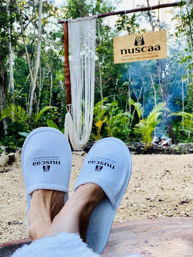 Nuscaa Boutique Tree House & Spa 호텔 푸에르토 모렐로스 외부 사진