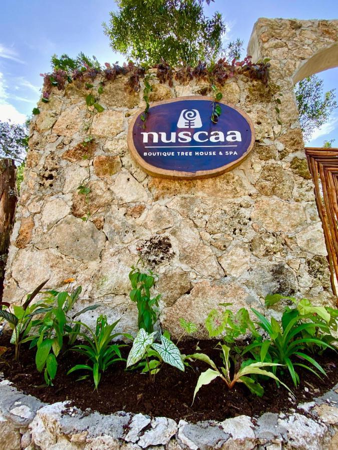 Nuscaa Boutique Tree House & Spa 호텔 푸에르토 모렐로스 외부 사진