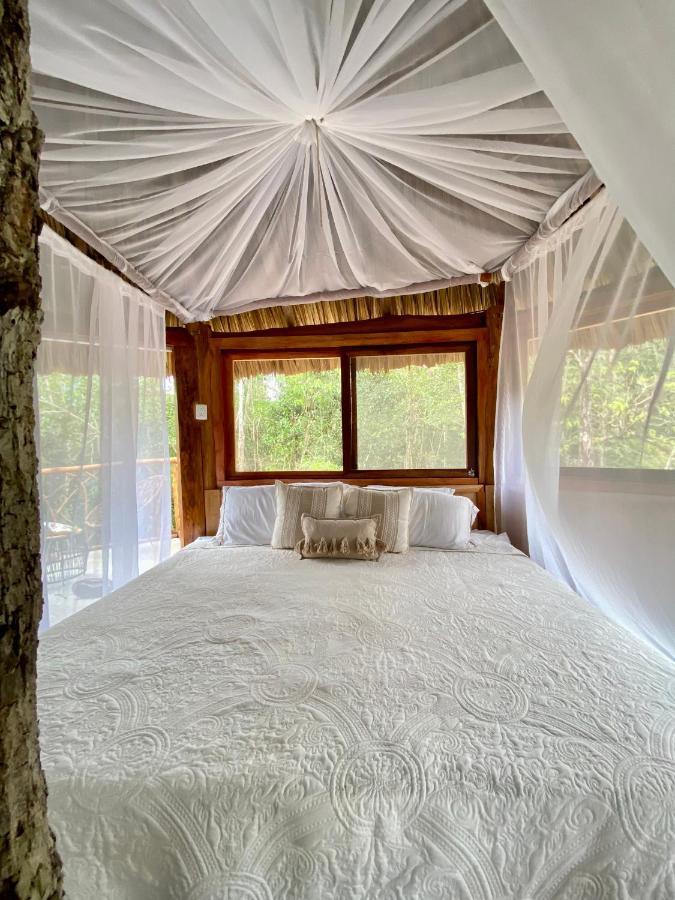 Nuscaa Boutique Tree House & Spa 호텔 푸에르토 모렐로스 외부 사진