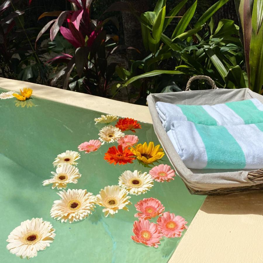 Nuscaa Boutique Tree House & Spa 호텔 푸에르토 모렐로스 외부 사진