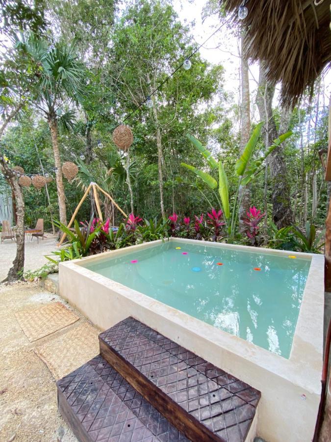 Nuscaa Boutique Tree House & Spa 호텔 푸에르토 모렐로스 외부 사진