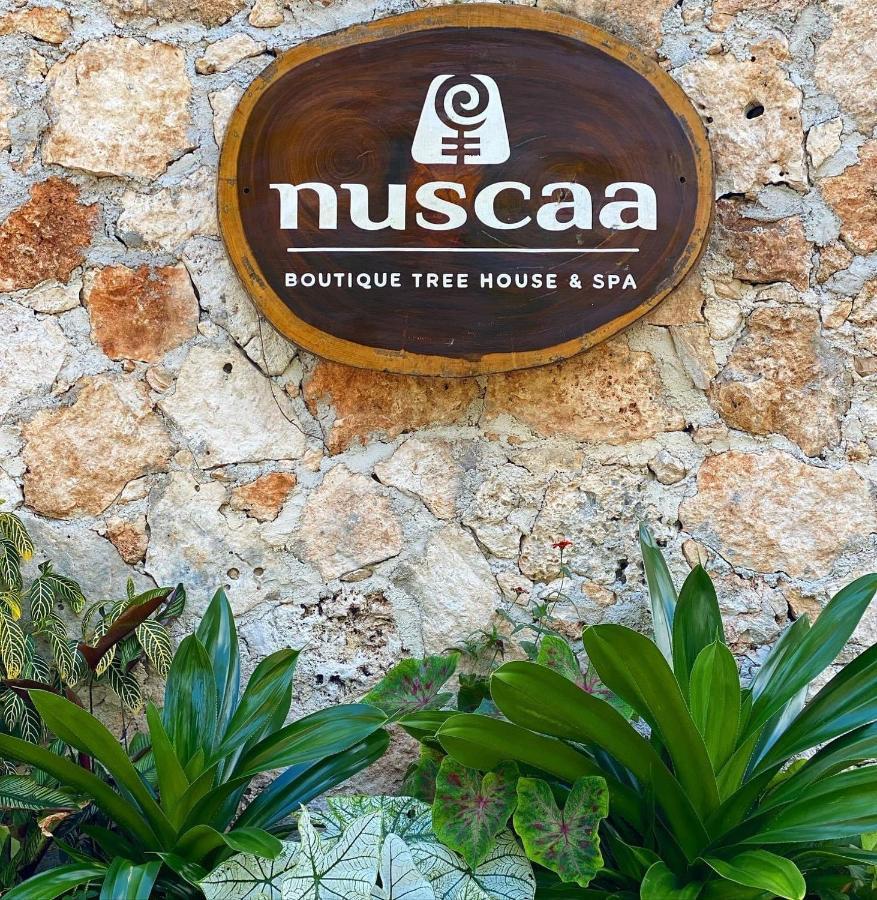 Nuscaa Boutique Tree House & Spa 호텔 푸에르토 모렐로스 외부 사진